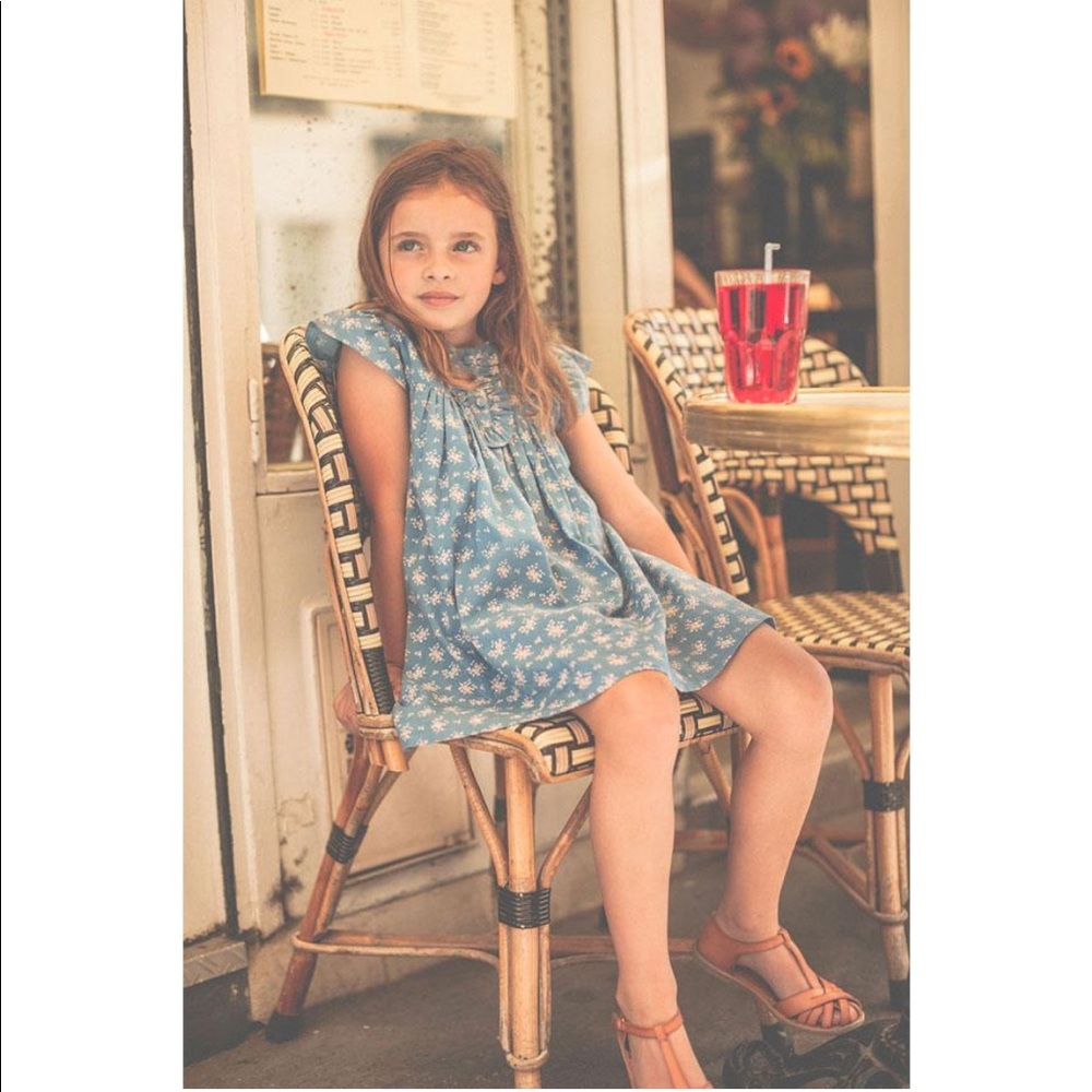 NWT SS20 Louis Louise Blue Flowers Glady Dress